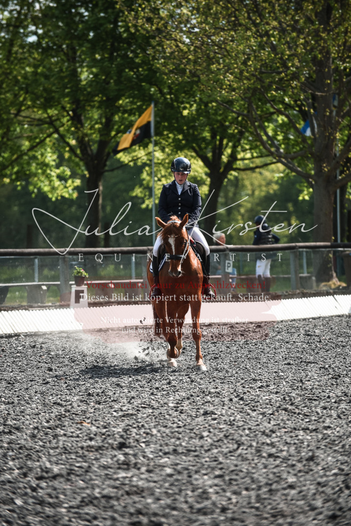 DSC_9022 | Pferde- und Turnierfotografie in Westsachsen. Pferdeportraits, Auftragszeichnungen und intuitive Kunst.