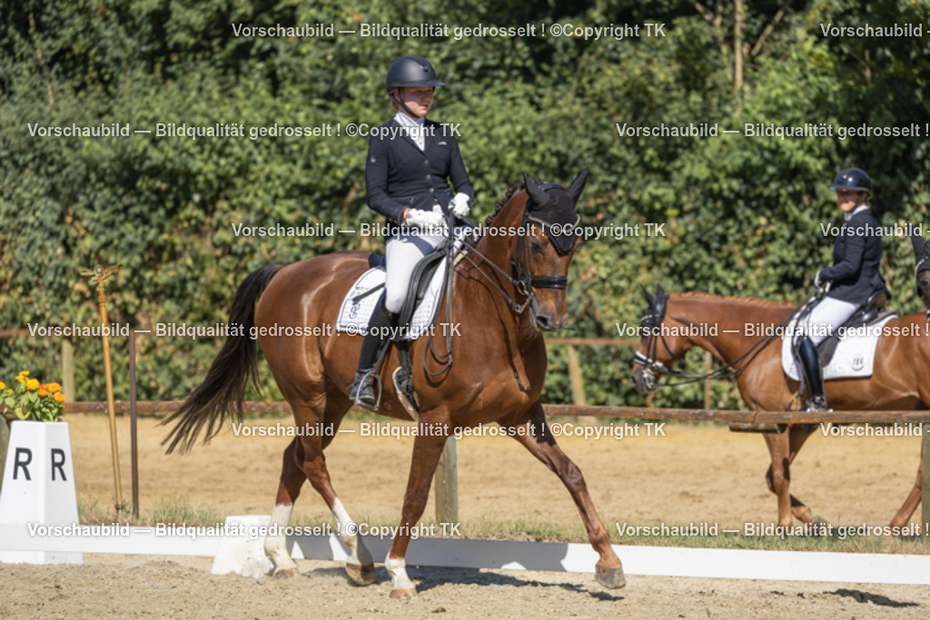 _D5A0160 | Emotionale Pferde- & People-Fotografie rund um Heidelberg, Leimen & Umgebung. Natürliche Fotos von Pferd, Mensch & Familie. Jetzt Termin sichern!