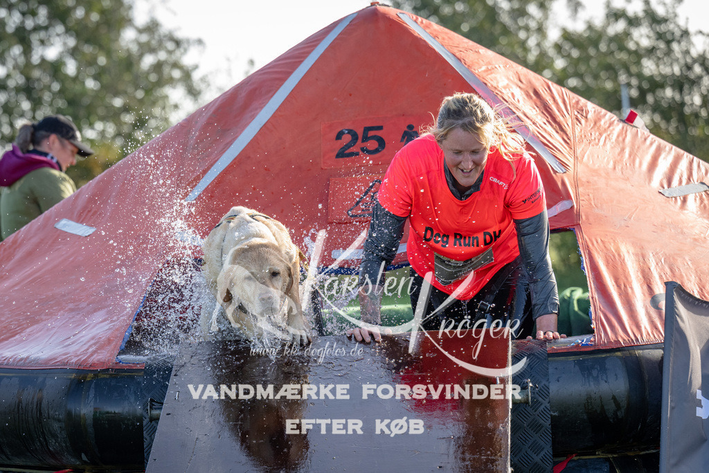 1101-91737 | kk-dogfotos