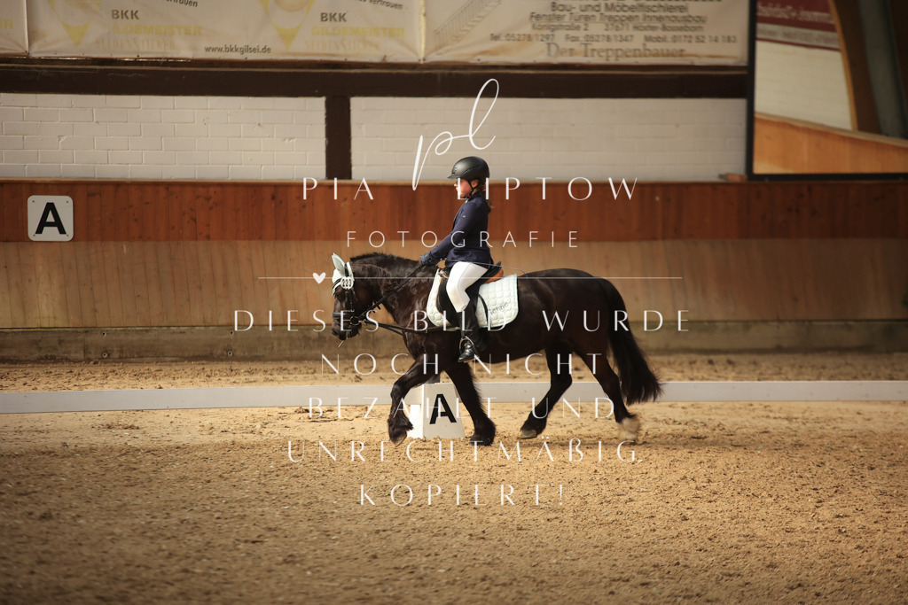 IMGT5816 | pl-fotografie