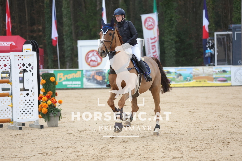 0P6A9827 | Willkommen bei Brunnmayr - Design & Fotografie – Ihrem Spezialisten für Reitturniere und Pferdeveranstaltungen in Oberösterreich, Salzburg und Bayern! Seit über 17 Jahren sind wir leidenschaftlich dabei.