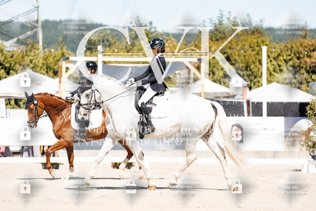 CK908906 | Turnierfotografie Pferdefotografie Trier Rheinland-Pfalz Pferdesport Reitsport Tierfotografie Sportfotografie Pferdevideo Pferdevideografie Equestrianvideography equestrianphotography  - Realisiert mit Pictrs.com