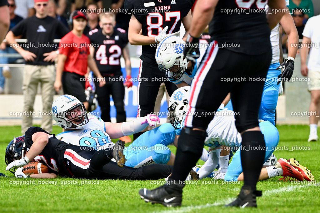 Carinthian Lions vs. Styrian Bears | Carinthian Lions vs. Styrian Bears, Carinthian Lions vs. Styrian Bears am 20.05.2024 in Klagenfurt (ASV Sportplatz), Austria, (Photo by Bernd Stefan)