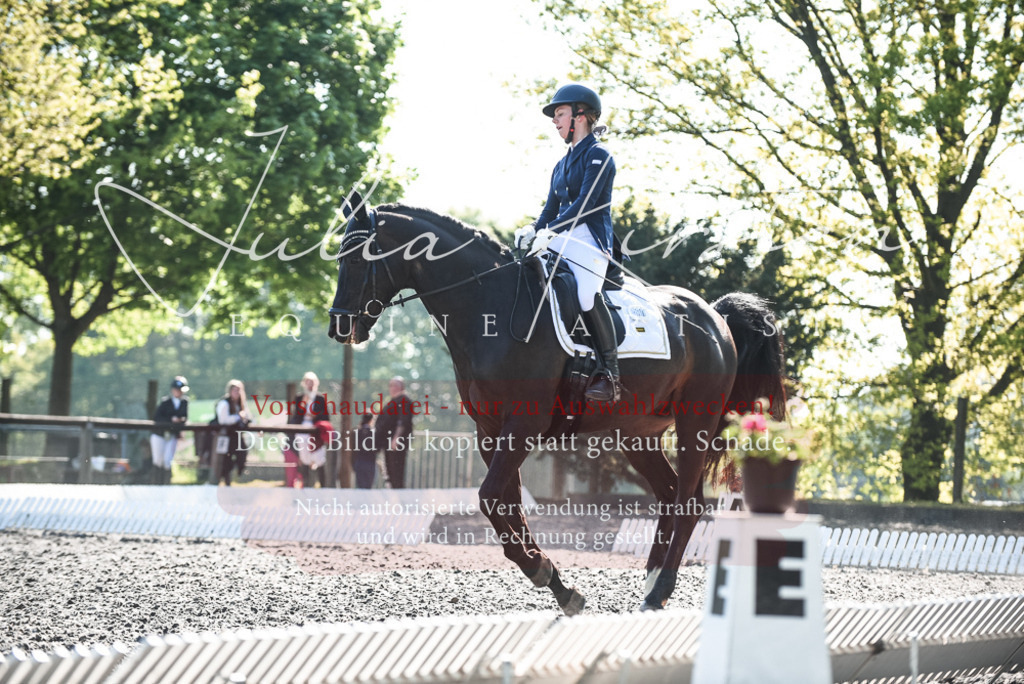 DSC_8592 | Pferde- und Turnierfotografie in Westsachsen. Pferdeportraits, Auftragszeichnungen und intuitive Kunst.