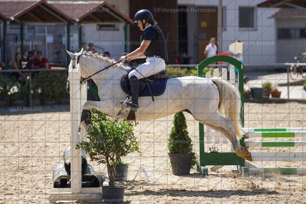 20240824-FAH07992 | Thierhaupten 2024, Bayerisches Landesponyturnier, Turnierbilder, Ponybilder, Turnierfotografen Bayern, Fotoagentur Herrmann