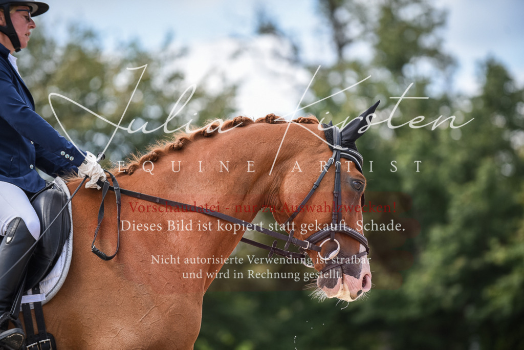 DSC_9246 | Pferde- und Turnierfotografie in Westsachsen. Pferdeportraits, Auftragszeichnungen und intuitive Kunst.