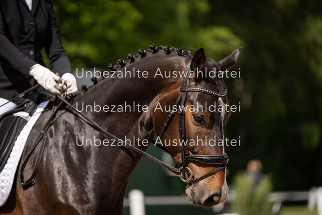 Bad_Meinberg_02778 | saradresslerfotografie - Realisiert mit Pictrs.com