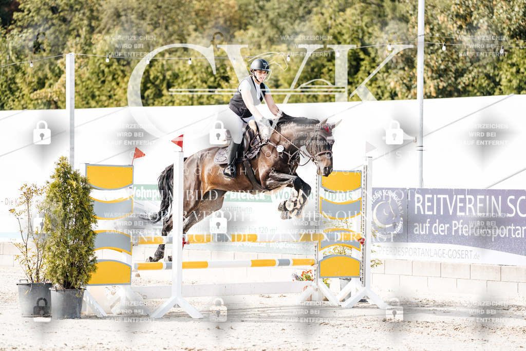 CK905677 | Turnierfotografie Pferdefotografie Trier Rheinland-Pfalz Pferdesport Reitsport Tierfotografie Sportfotografie Pferdevideo Pferdevideografie Equestrianvideography equestrianphotography  - Realisiert mit Pictrs.com