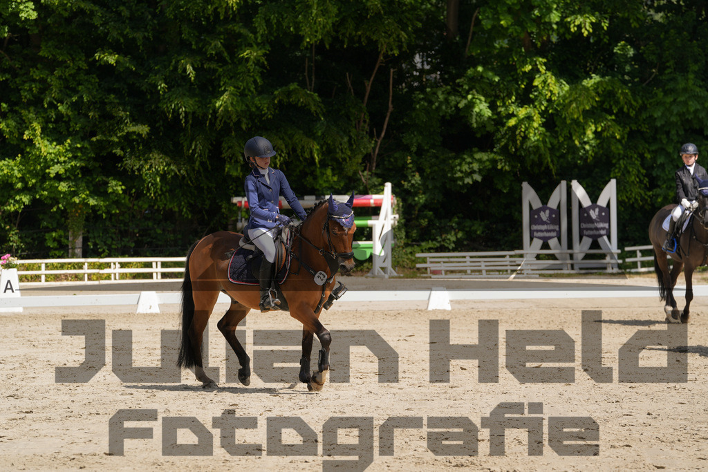 DSC03308 | Julian Held Fotografie - Realisiert mit Pictrs.com