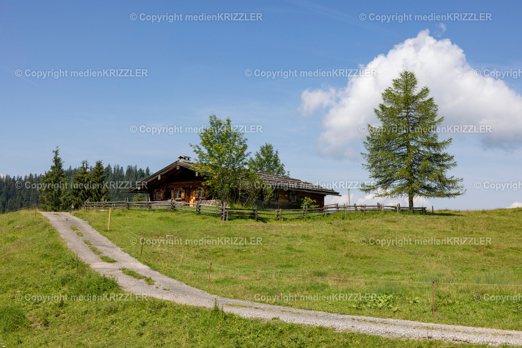 _J3A5446 | medienkrizzler - Realisiert mit Pictrs.com