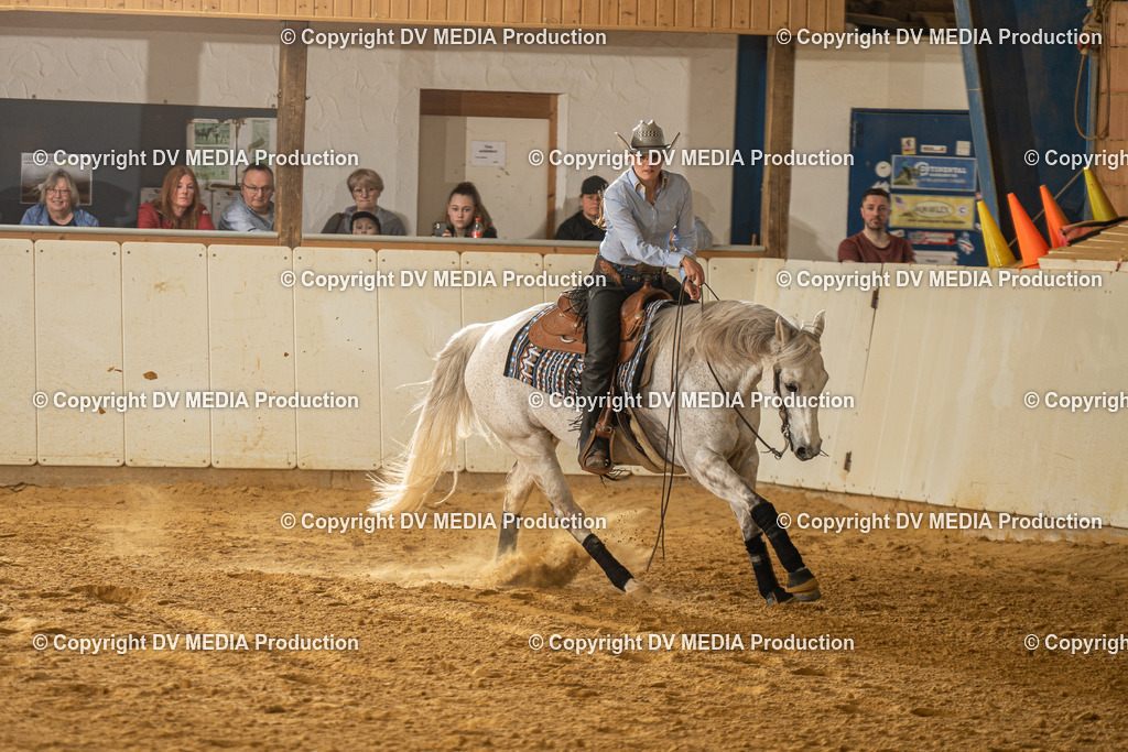 MIT01336 | dv-media-shop - Realisiert mit Pictrs.com