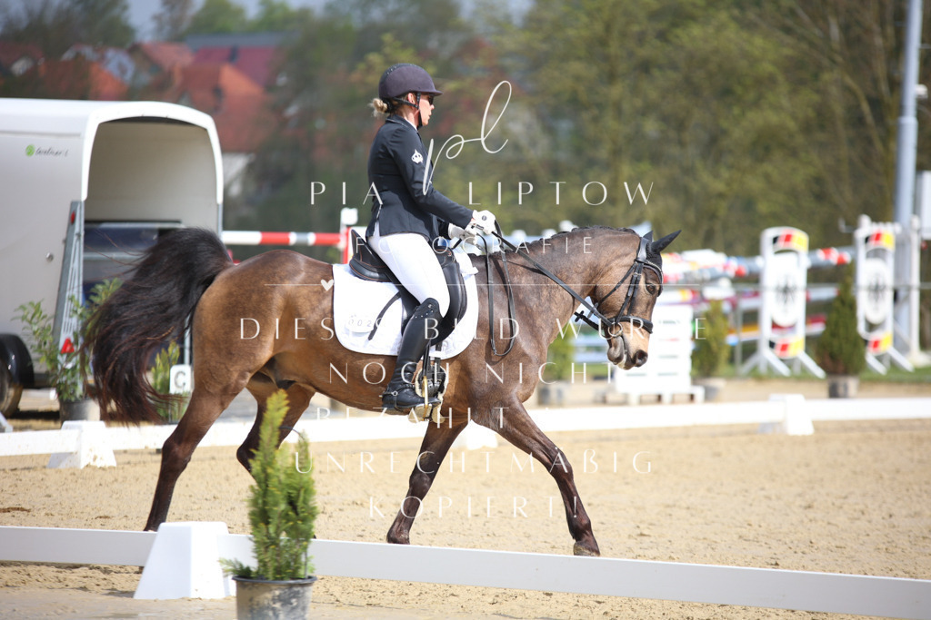 IMGT5659 | pl-fotografie