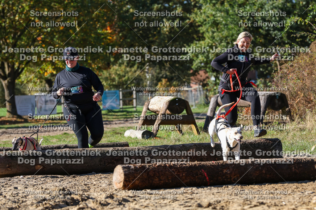 Dog Paparazzi - Strongdog 10-25-2317 | Dog Paparazzi Jeanette Grottendiek Fotografie & Videografie - Realisiert mit Pictrs.com