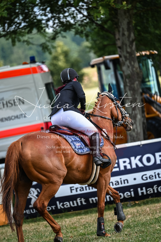 DSC_7845 | Pferde- und Turnierfotografie in Westsachsen. Pferdeportraits, Auftragszeichnungen und intuitive Kunst.