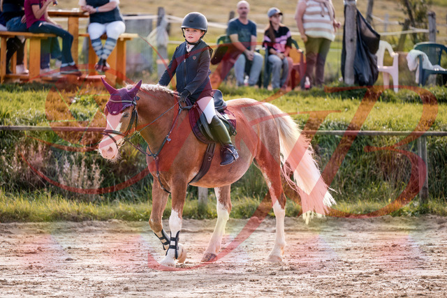 2026_10_03_Siefer-Hof_144531_Z81_21184195 | Professionelle Reitsport-, Turnier- und Eventfotografie von Robert Broda. Galerien mit ausgewählten und bearbeiteten Bildern direkt online ansehen und bestellen.