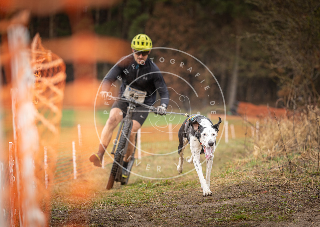 DV3A9400 | Hundefotografie, Tierfotograf, Pfotenfotografie, Fotoshooting Hund, Hunde Portrait, Hundesport, Hundeportraits, Heideshooting, Hunde, Sportfotograf, Hundefotograf, Turnierhundsport, THS,  - Realisiert mit Pictrs.com