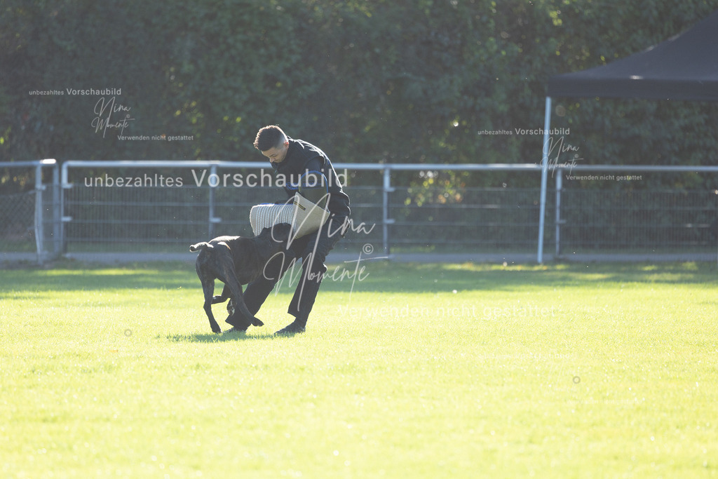 _16A4897 | Einzigartige Fotos von Hunden & Menschen –Actionfotos, Portraits, Vereinsaufnahmen & Paarshootings – authentisch, lebendig & mit Herz.