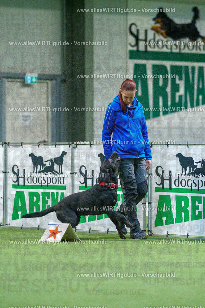 7R504194 | Professionelle Tierfotografie in Mönchengladbach von Daniel Wirth (allesWIRTHgut). Liebevolle & natürliche Bilder von Hunden & Katzen für unvergessliche Erinnerungen.