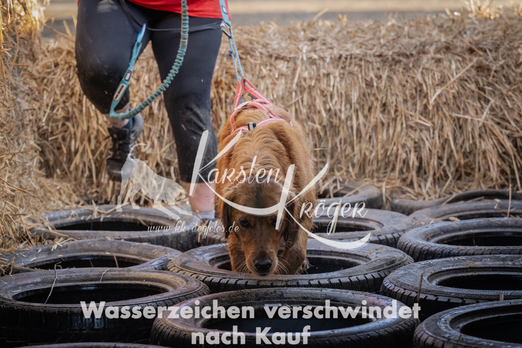 0951_ZZ95170 | kk-dogfotos