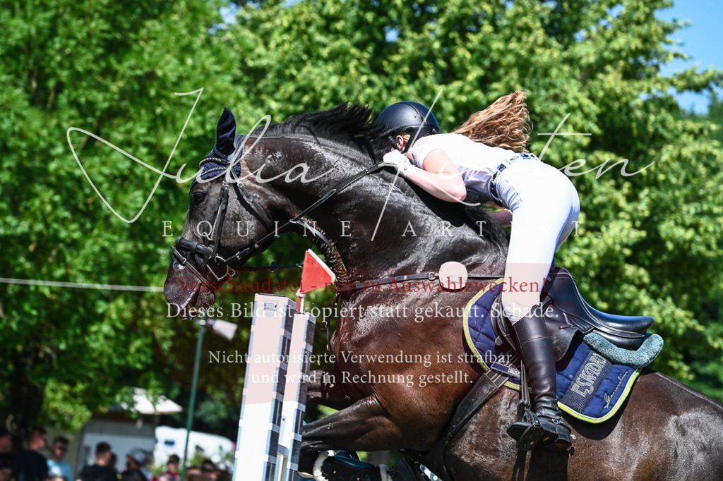 DSC_0979 | Pferde- und Turnierfotografie in Westsachsen. Pferdeportraits, Auftragszeichnungen und intuitive Kunst.