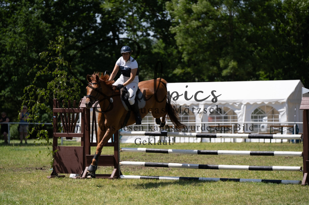 A7V06180 | Pferdefotograf