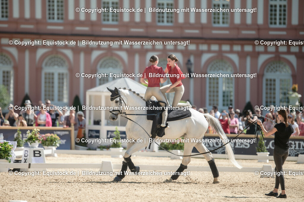 20230528_Voltigieren_NASPA_0321 | equistock