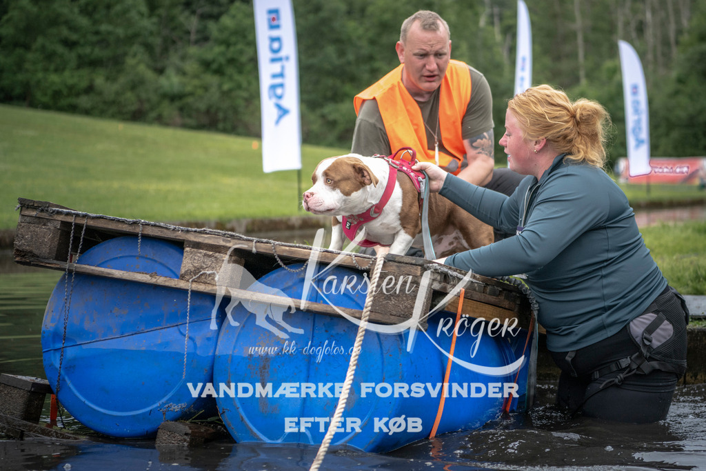 1005_ZZ94207 | kk-dogfotos