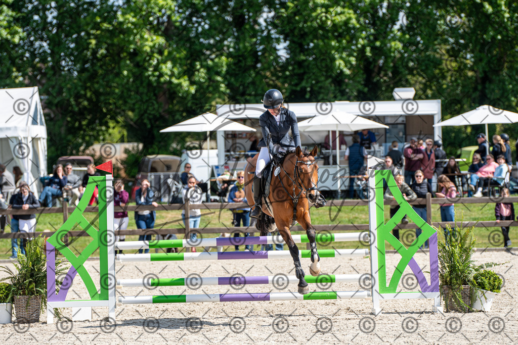 KPT_5170 | andre_photographic