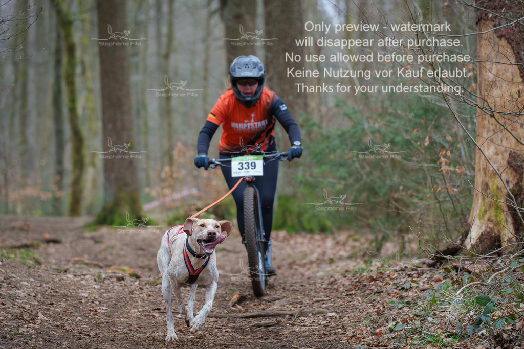 Scooter_So-76 | stephaniefillaphotographie - Realisiert mit Pictrs.com