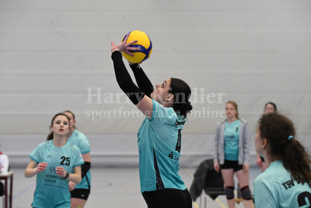 TSV Deggendorf Damen  : FC Ruderting | TSV Deggendorf Damen Volleyball - Realisiert mit Pictrs.com
