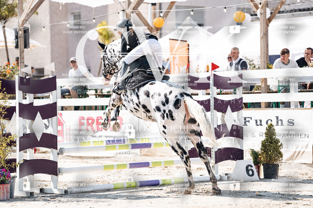 CK905023 | Turnierfotografie Pferdefotografie Trier Rheinland-Pfalz Pferdesport Reitsport Tierfotografie Sportfotografie Pferdevideo Pferdevideografie Equestrianvideography equestrianphotography  - Realisiert mit Pictrs.com