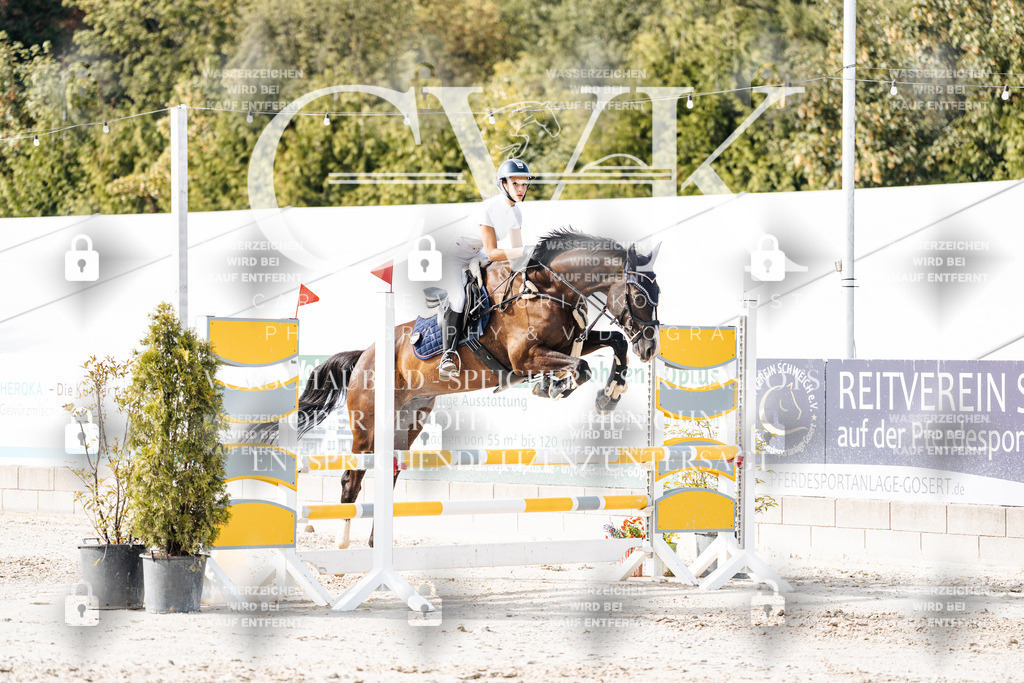 CK905920 | Turnierfotografie Pferdefotografie Trier Rheinland-Pfalz Pferdesport Reitsport Tierfotografie Sportfotografie Pferdevideo Pferdevideografie Equestrianvideography equestrianphotography  - Realisiert mit Pictrs.com