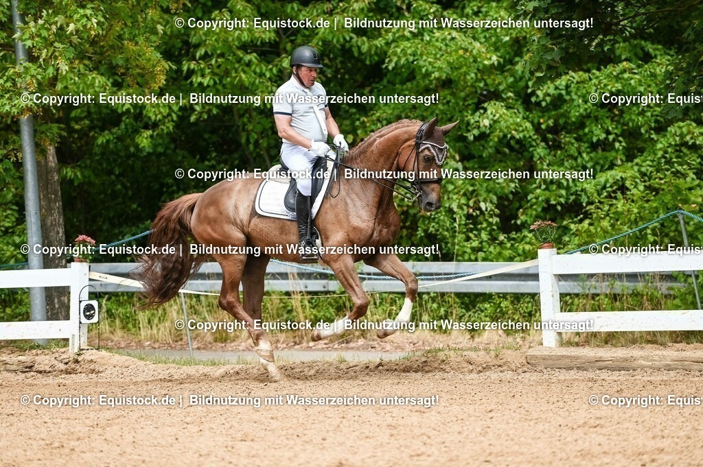 20230716_01_Dressurprüfung Kl.M_0102 | equistock
