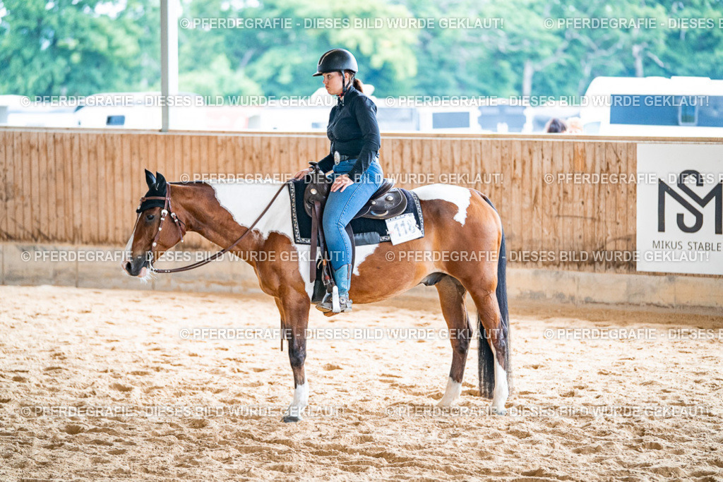 DSC09646 | Pferdegrafie