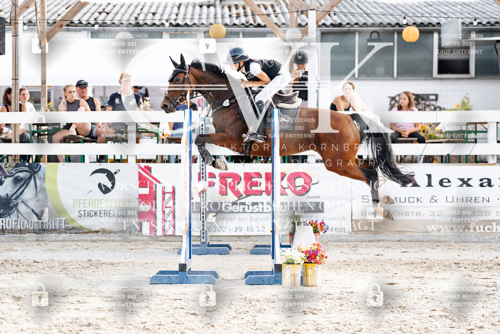 CK906989 | Turnierfotografie Pferdefotografie Trier Rheinland-Pfalz Pferdesport Reitsport Tierfotografie Sportfotografie Pferdevideo Pferdevideografie Equestrianvideography equestrianphotography  - Realisiert mit Pictrs.com