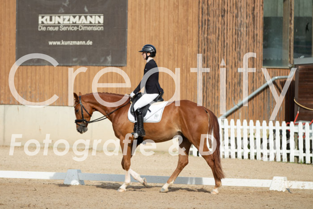 IMG_0636 | Creatify Fotografie