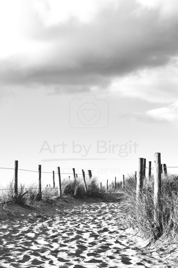 Dünenweg | Art by Birgit Fotografie - Realisiert mit Pictrs.com