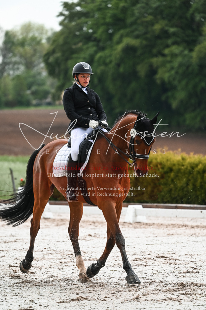DSC_4371 | Pferde- und Turnierfotografie in Westsachsen. Pferdeportraits, Auftragszeichnungen und intuitive Kunst.