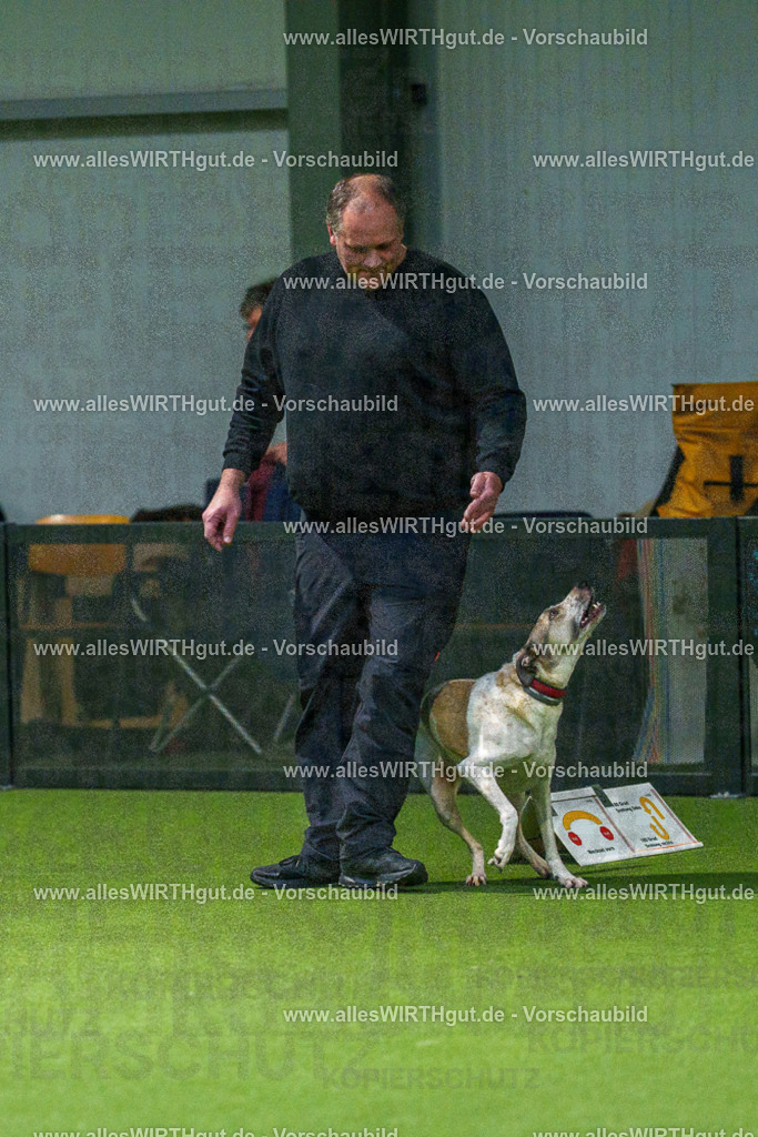 7R505311 | Professionelle Tierfotografie in Mönchengladbach von Daniel Wirth (allesWIRTHgut). Liebevolle & natürliche Bilder von Hunden & Katzen für unvergessliche Erinnerungen.