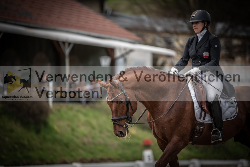 DSC_2644 | equestrian-live-com