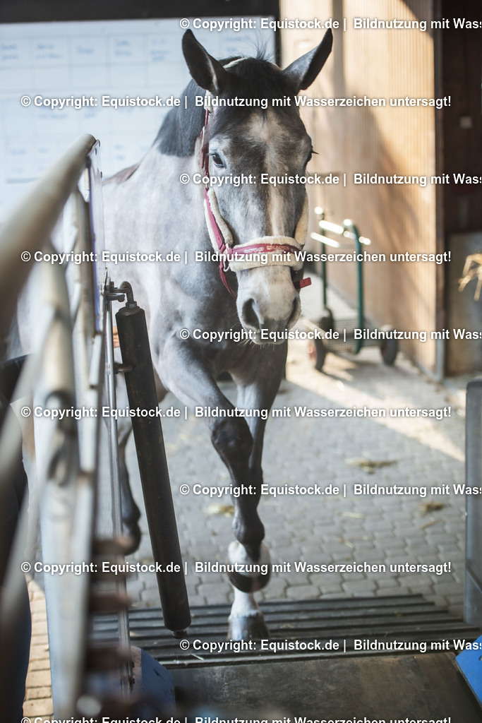 20200118_Laufband_0045 | Foto: Thomas Hartig