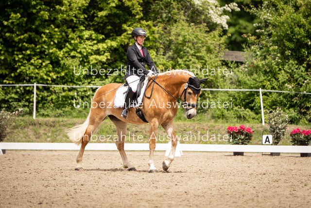 Bad_Meinberg_05590 | saradresslerfotografie - Realisiert mit Pictrs.com