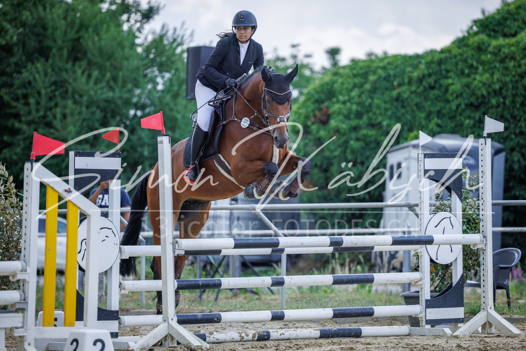 20260705-_3LI4520 | Tierfotografie Pferde, Hunde, Katzen, Haustiere.
Turnierfotografie Reitturniere, Reiten, Springreiten, Dressur in Hanau, dem Main-Kinzig-Kreis und dem Rhein-Main- Gebiet um Frankfurt