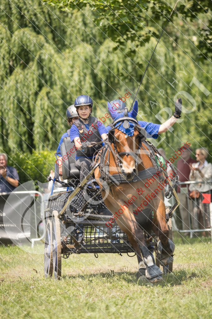 IMG_9265 | Sport-, Event- und Tierfotos in Profiqualität. Einfach auswählen, bestellen und herunterladen. Dein Moment – perfekt festgehalten.