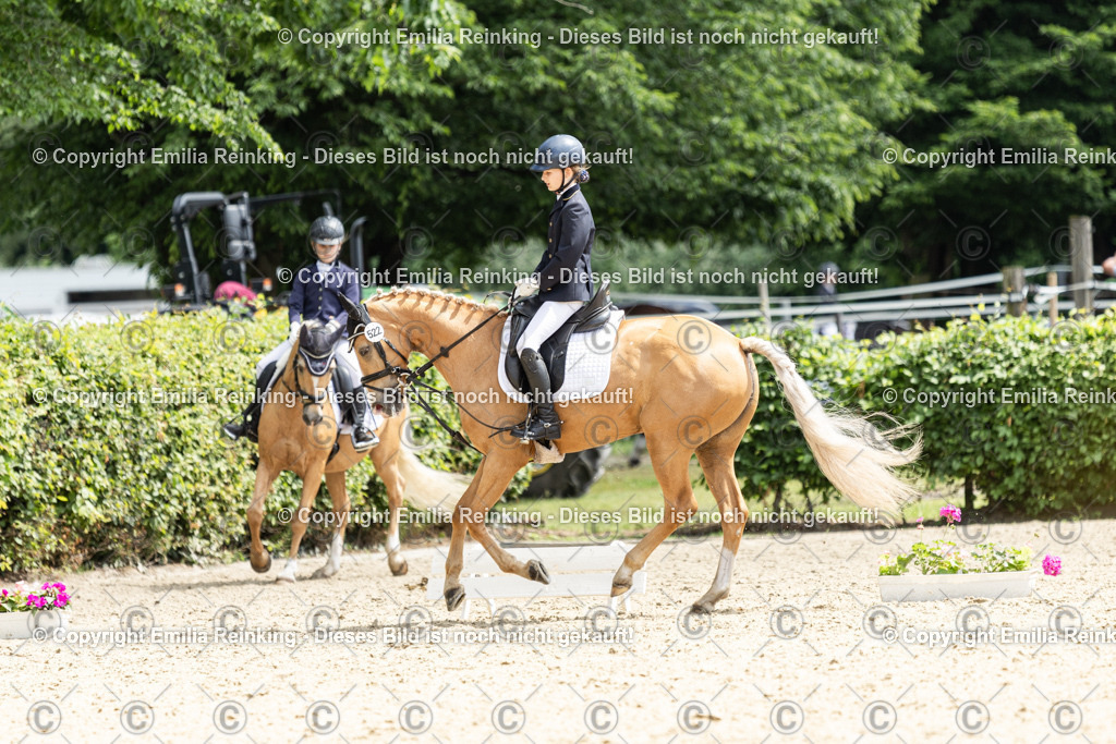 CL5A9042 | Emilia Reinking Fotografie - Realisiert mit Pictrs.com