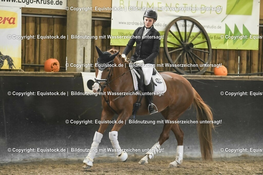 03_Reiter-WB_0185 | Foto: Thomas Hartig