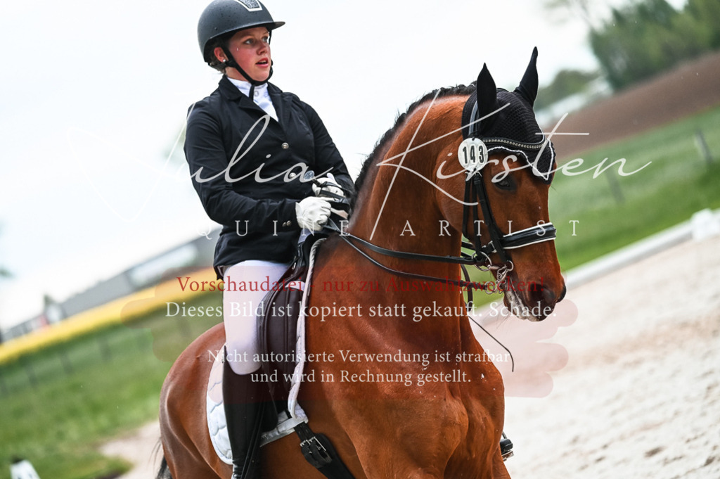 DSC_4397 | Pferde- und Turnierfotografie in Westsachsen. Pferdeportraits, Auftragszeichnungen und intuitive Kunst.