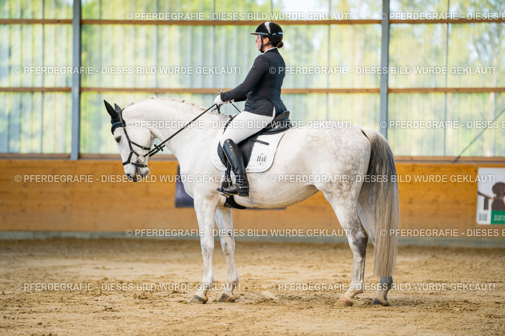 DSC06212 | Pferdegrafie