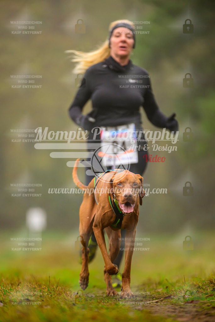 MompixPhotography_Bischwiller2025_Canicross-139 | mompixphotography