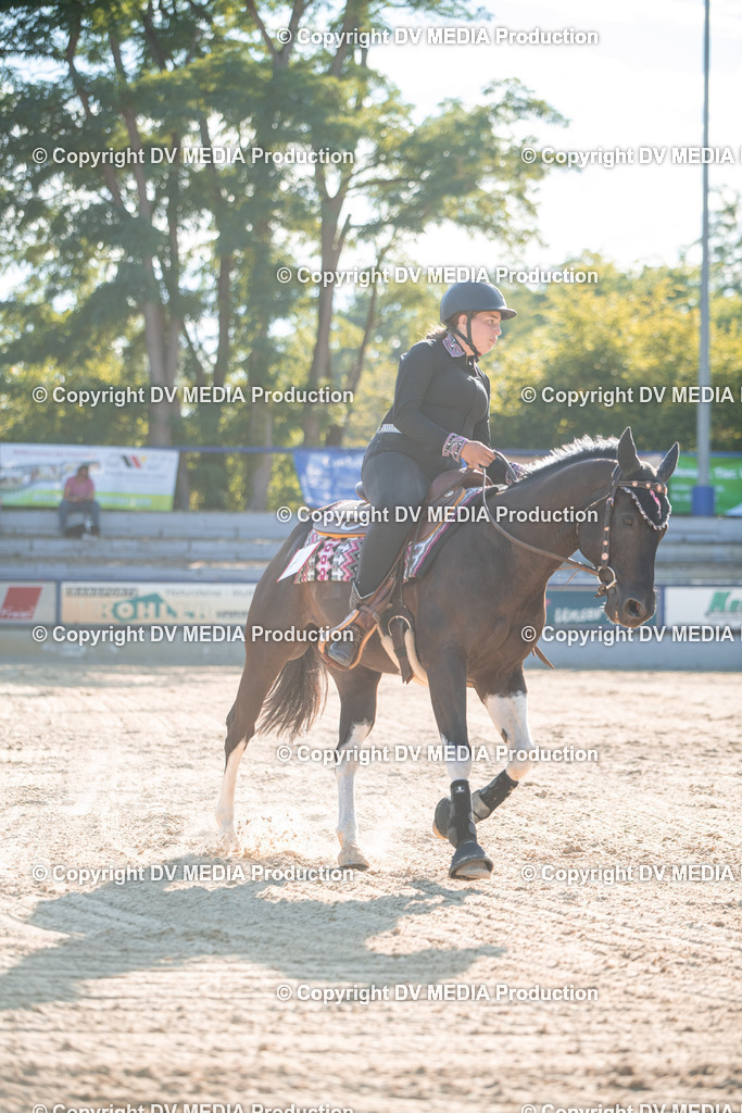 EWP_7101 | dv-media-shop - Realisiert mit Pictrs.com